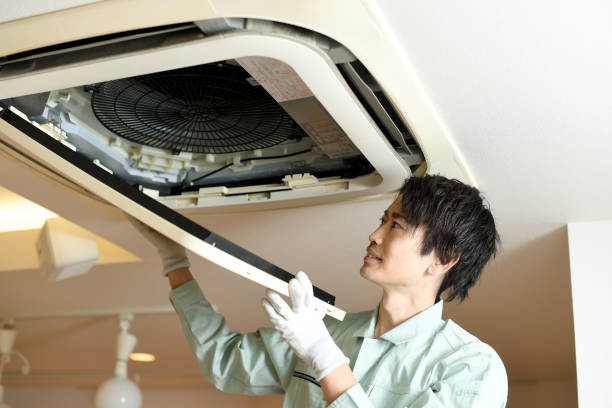 Best Local Air Duct Cleaning Services  in Wd, AR